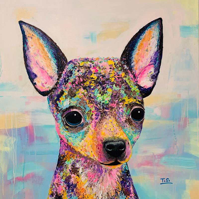 Tierportrait Hund Chihuahua "Mia" © Silke Timpe 2020