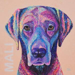 Auftragsarbeit Tierportrait Hund "Mali" © Silke Timpe 2020