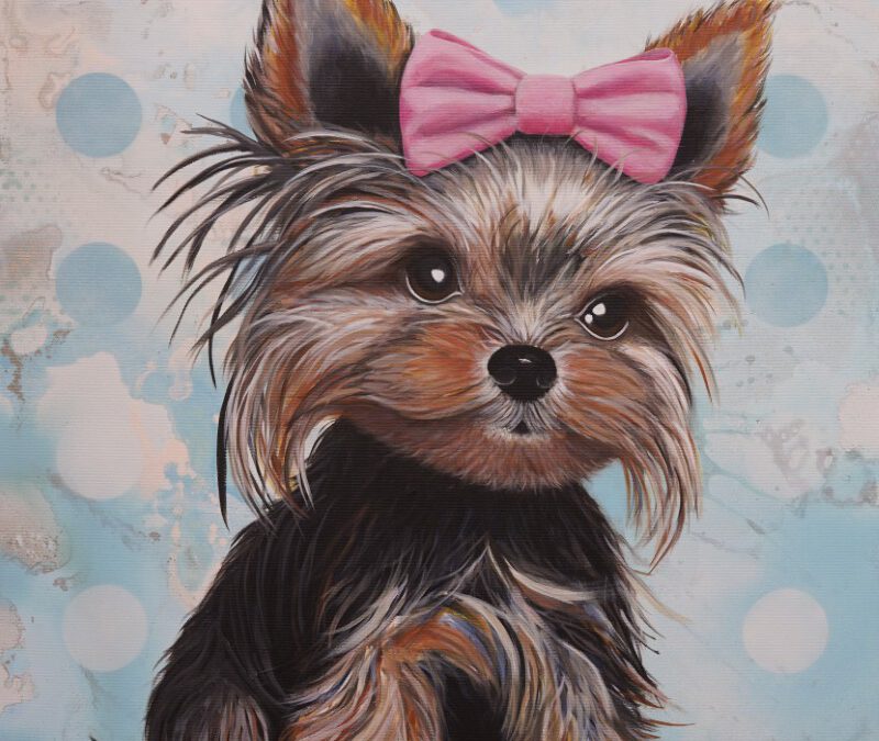 Yorkie Crush: Small But Mighty