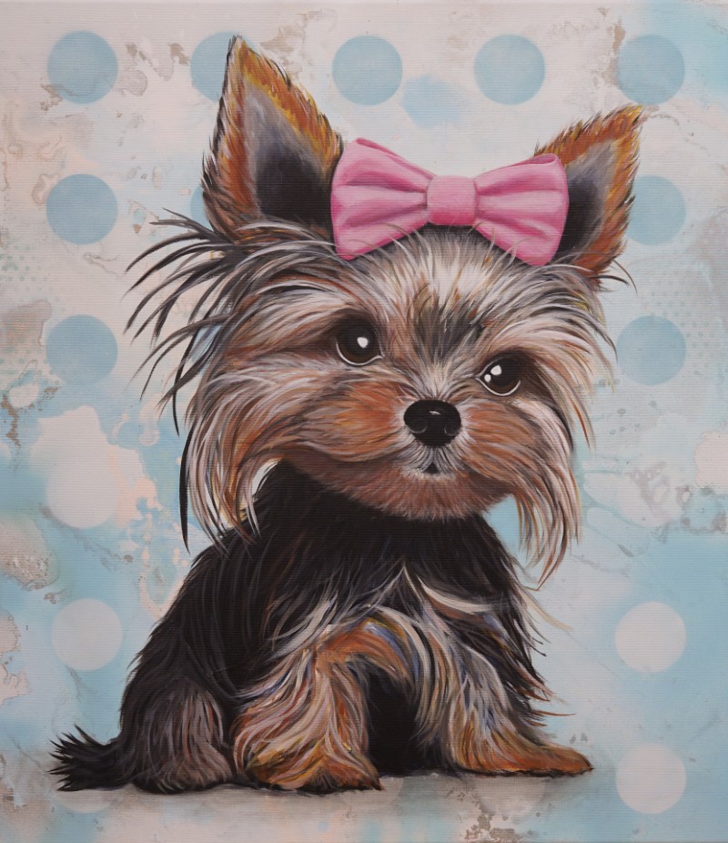 Yorkie Crush Yorkshire Terrier Tierportrait moderne Pop Art Kunst Silke Timpe