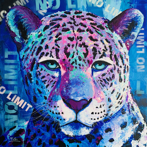 Jayden: No Limit - verkauft