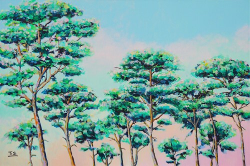 Pine Trees