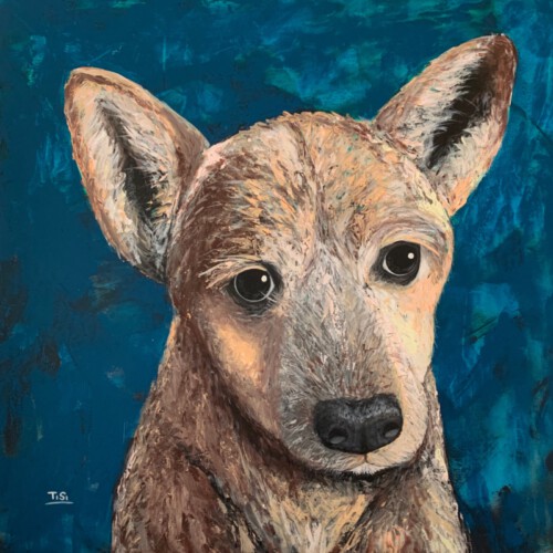 Tommy - Privatbesitz